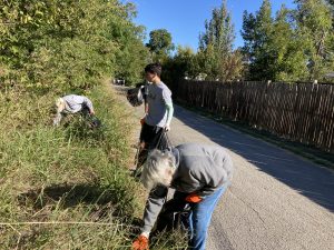Read more about the article Litter Stomp, Sat Oct 11, 2025